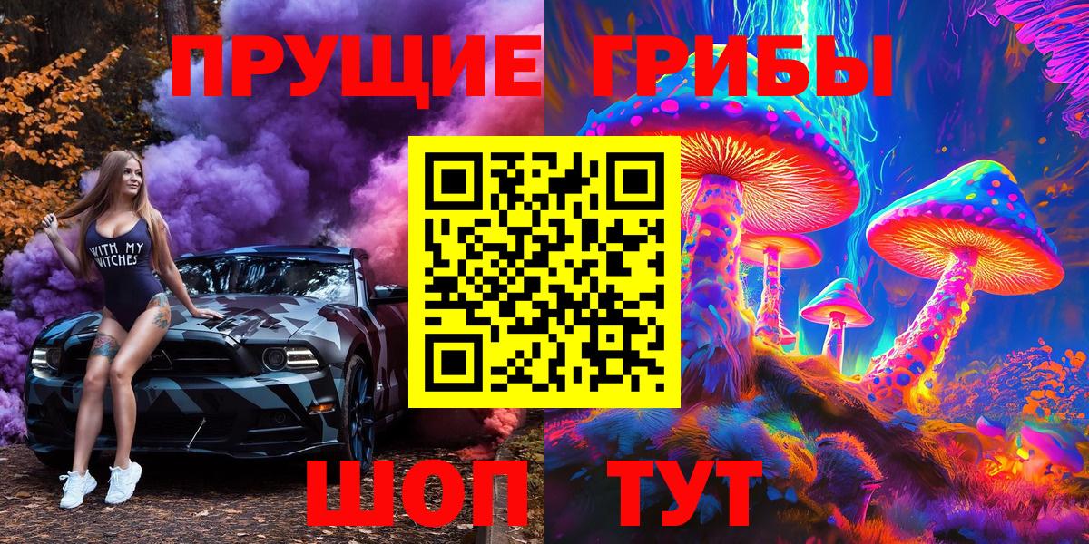 Сергиев Посад  Галлюциногенные грибы прущие грибы  Вход с VPN 