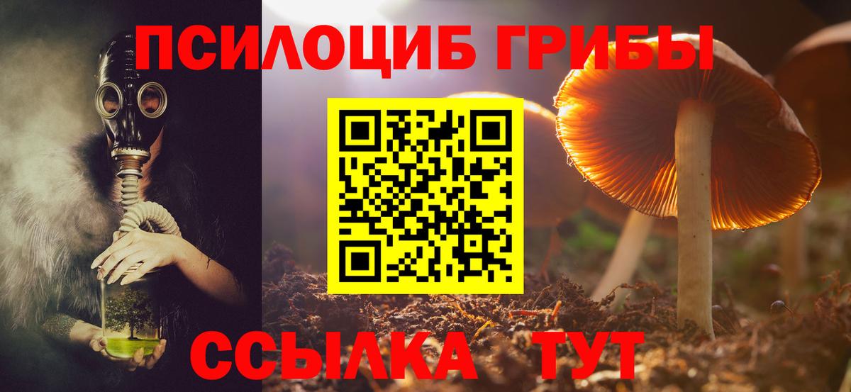 Псилоцибиновые грибы мухоморы Сергиев Посад